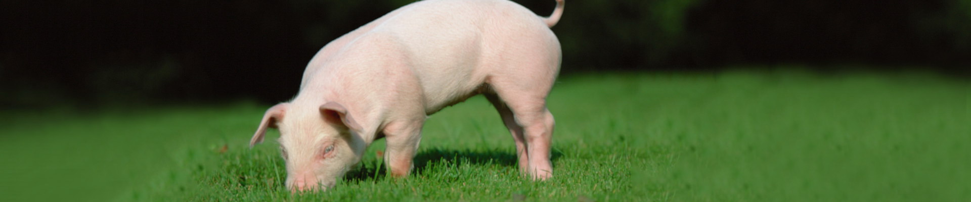 永利集团·yl8cc(中国游)官方网站