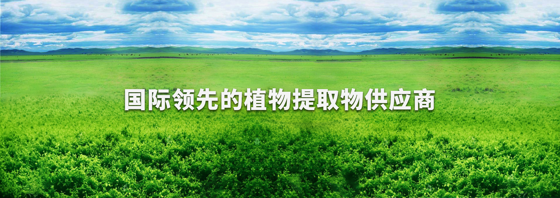 永利集团·yl8cc(中国游)官方网站