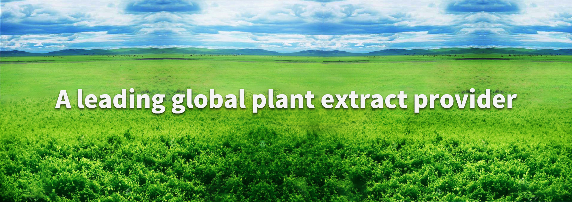 永利集团·yl8cc(中国游)官方网站