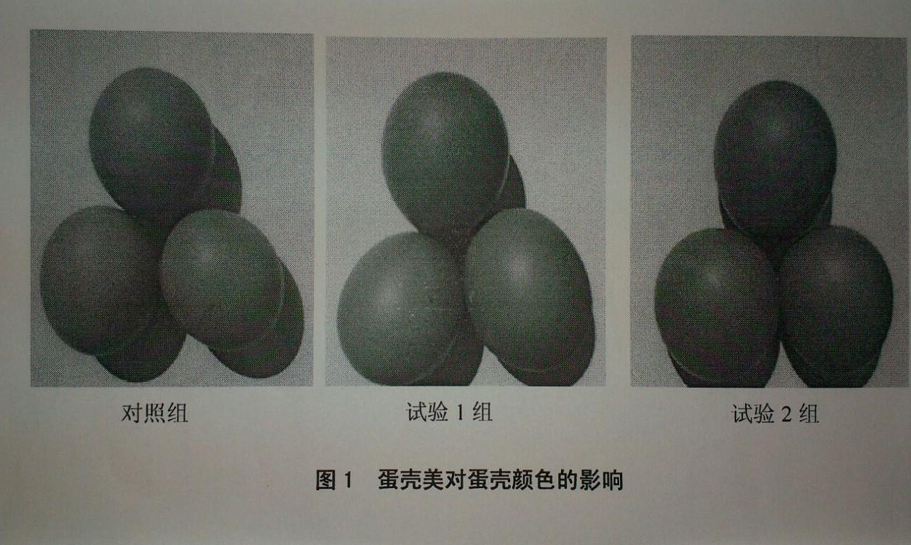 永利集团·yl8cc(中国游)官方网站