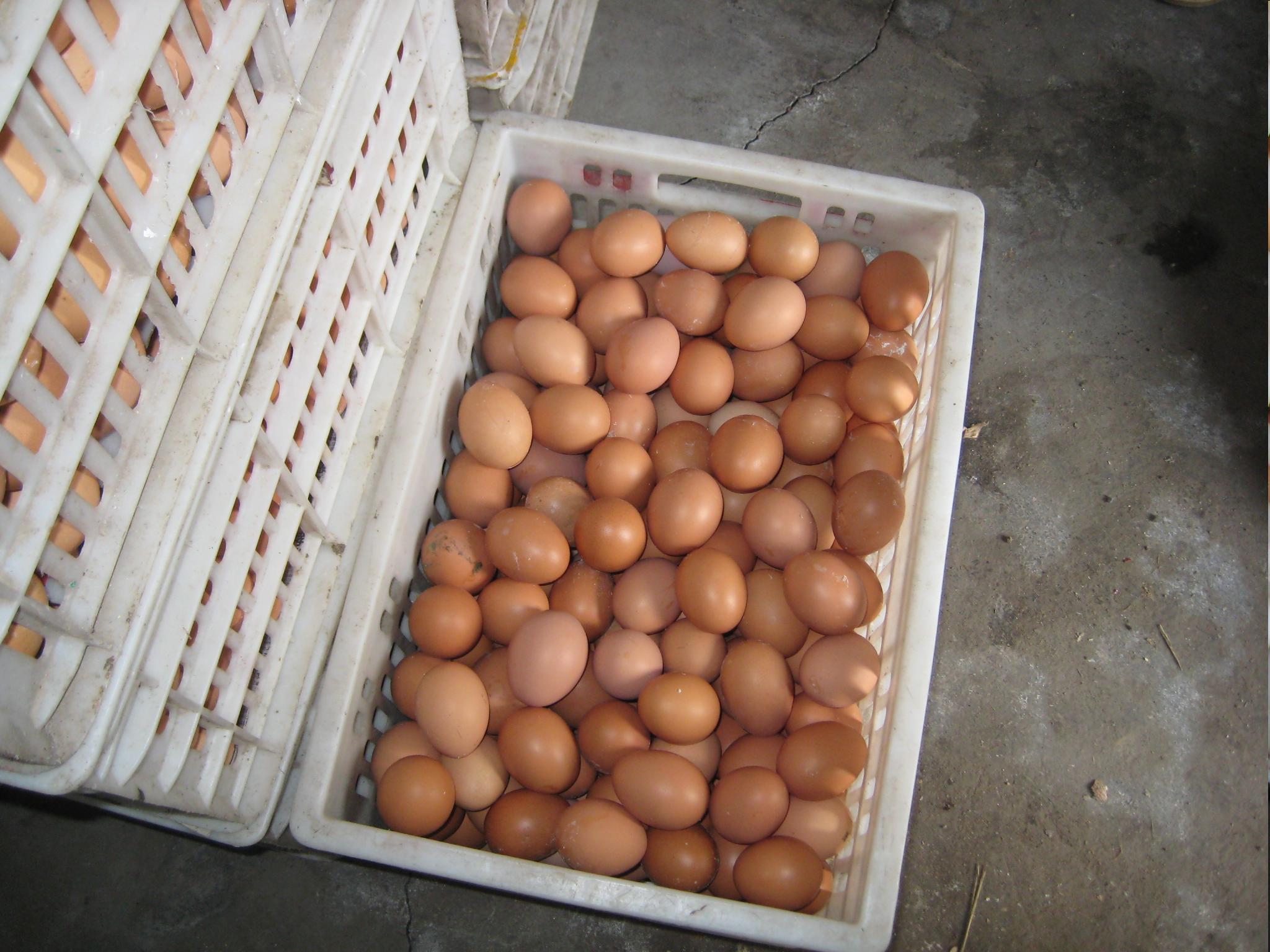 永利集团·yl8cc(中国游)官方网站