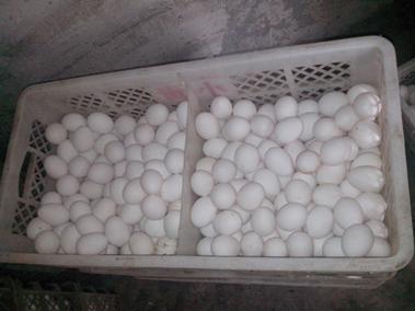 永利集团·yl8cc(中国游)官方网站