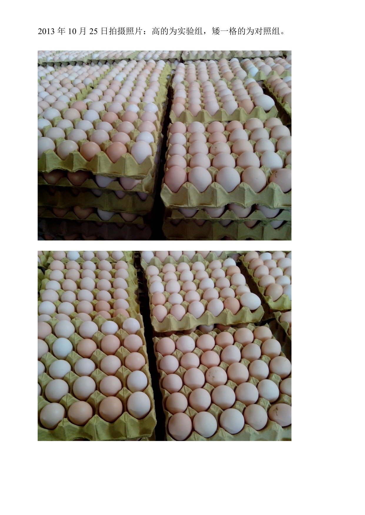 永利集团·yl8cc(中国游)官方网站