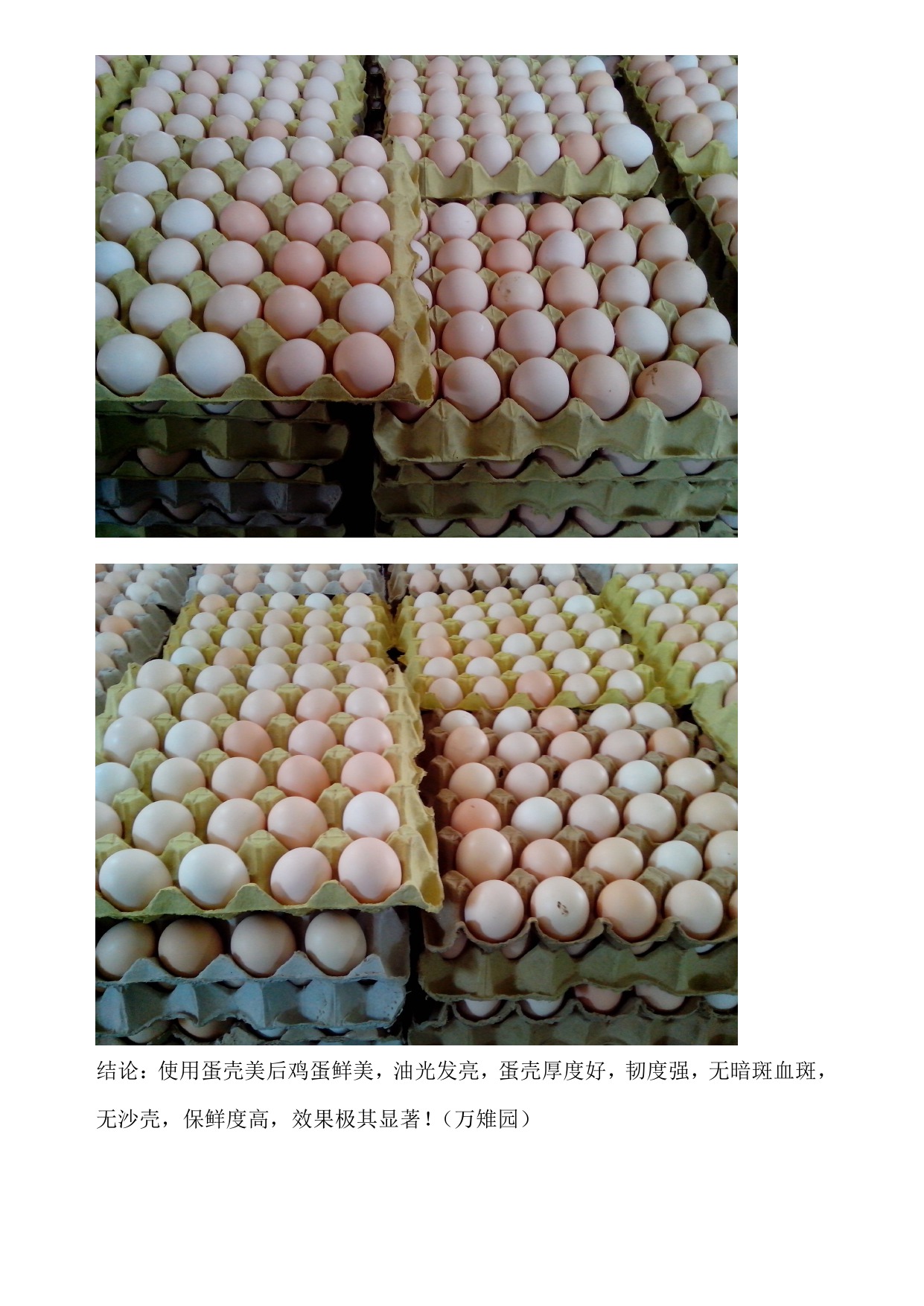 永利集团·yl8cc(中国游)官方网站