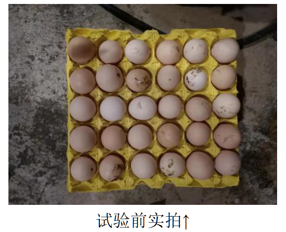 永利集团·yl8cc(中国游)官方网站