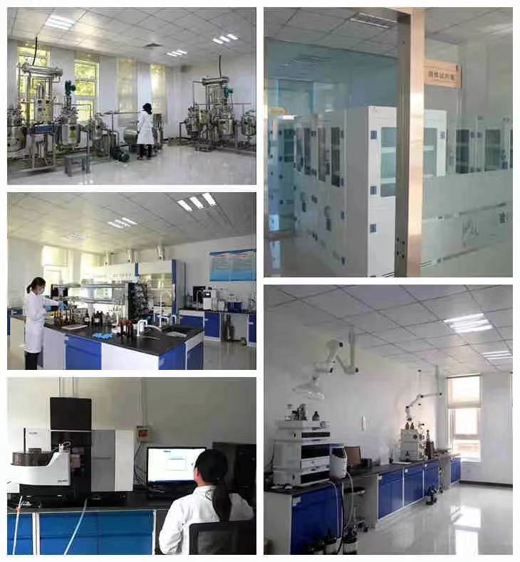 永利集团·yl8cc(中国游)官方网站