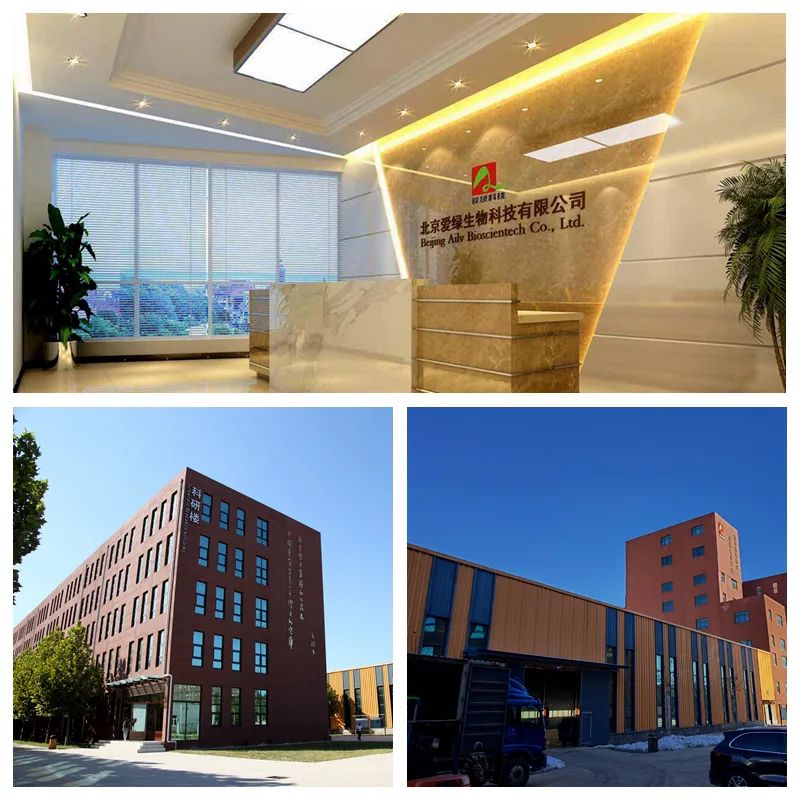 永利集团·yl8cc(中国游)官方网站